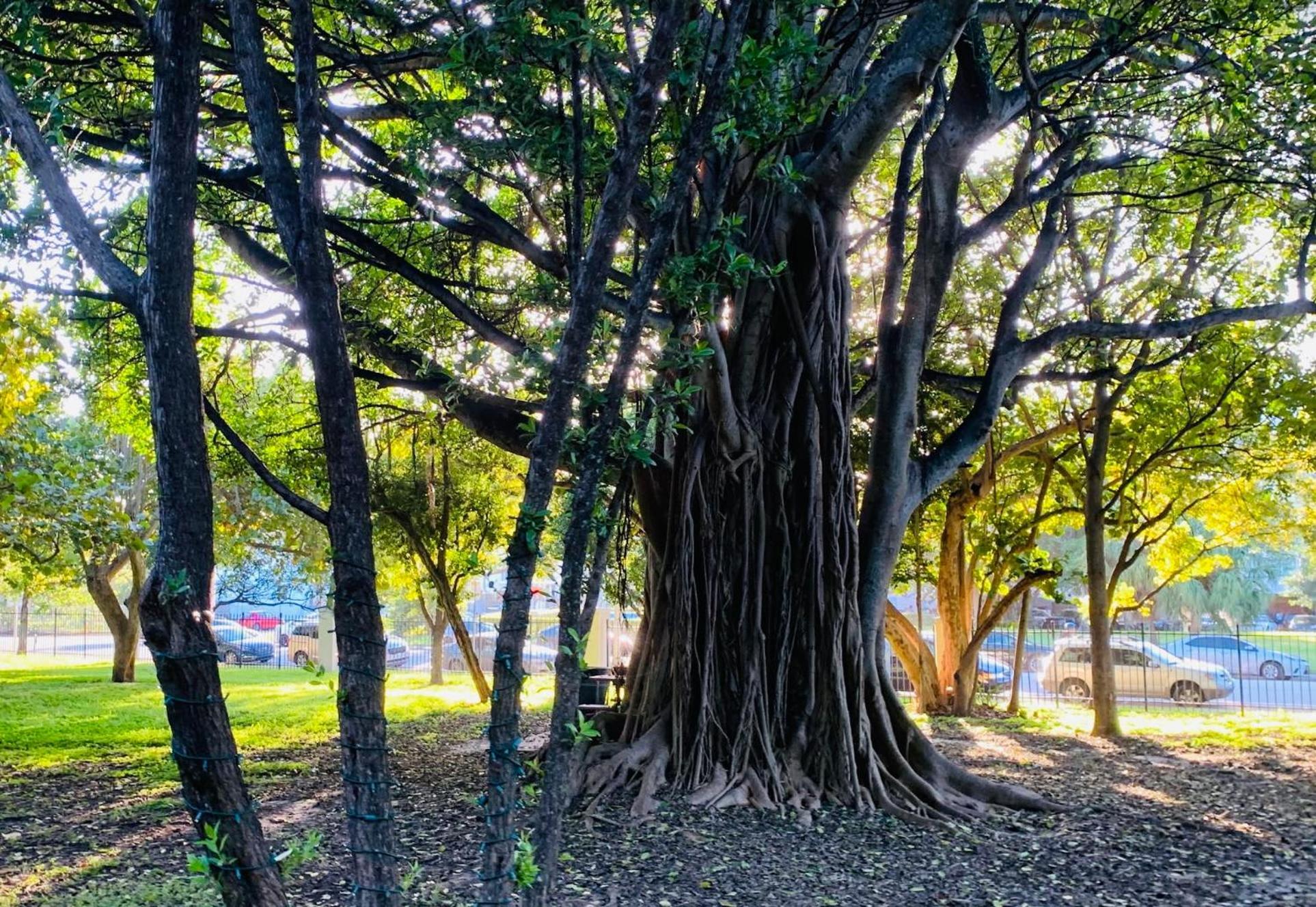 Steps To Sea Miami Beach Free Parking Pet & Family Friendly 아파트 외부 사진