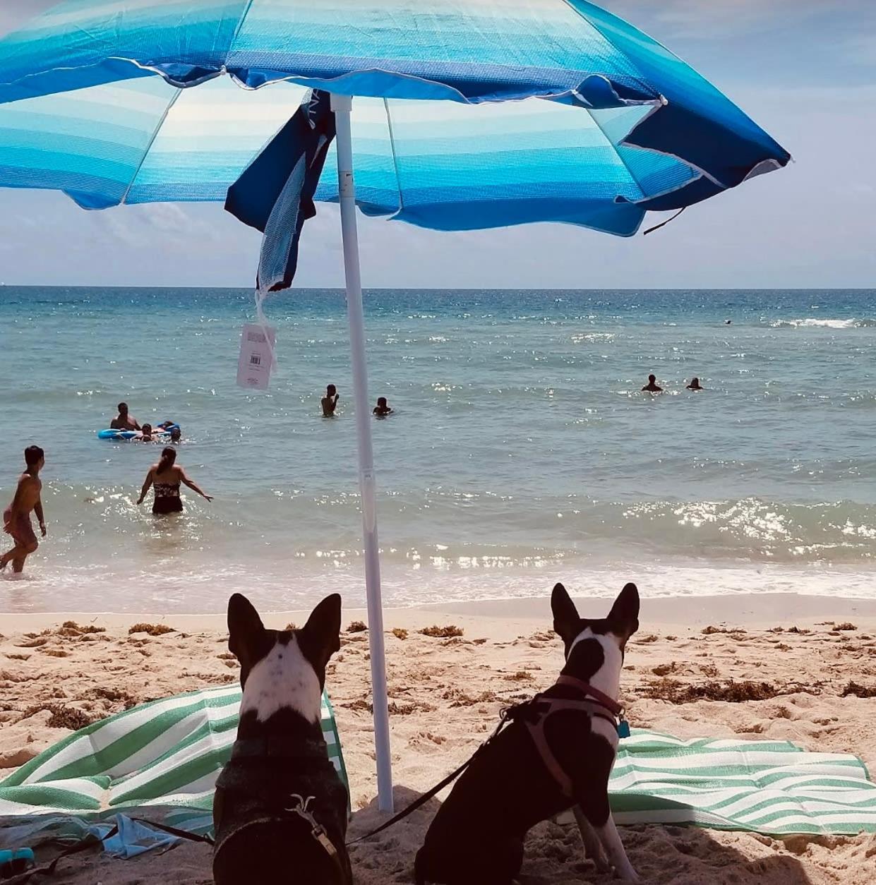 Steps To Sea Miami Beach Free Parking Pet & Family Friendly 아파트 외부 사진